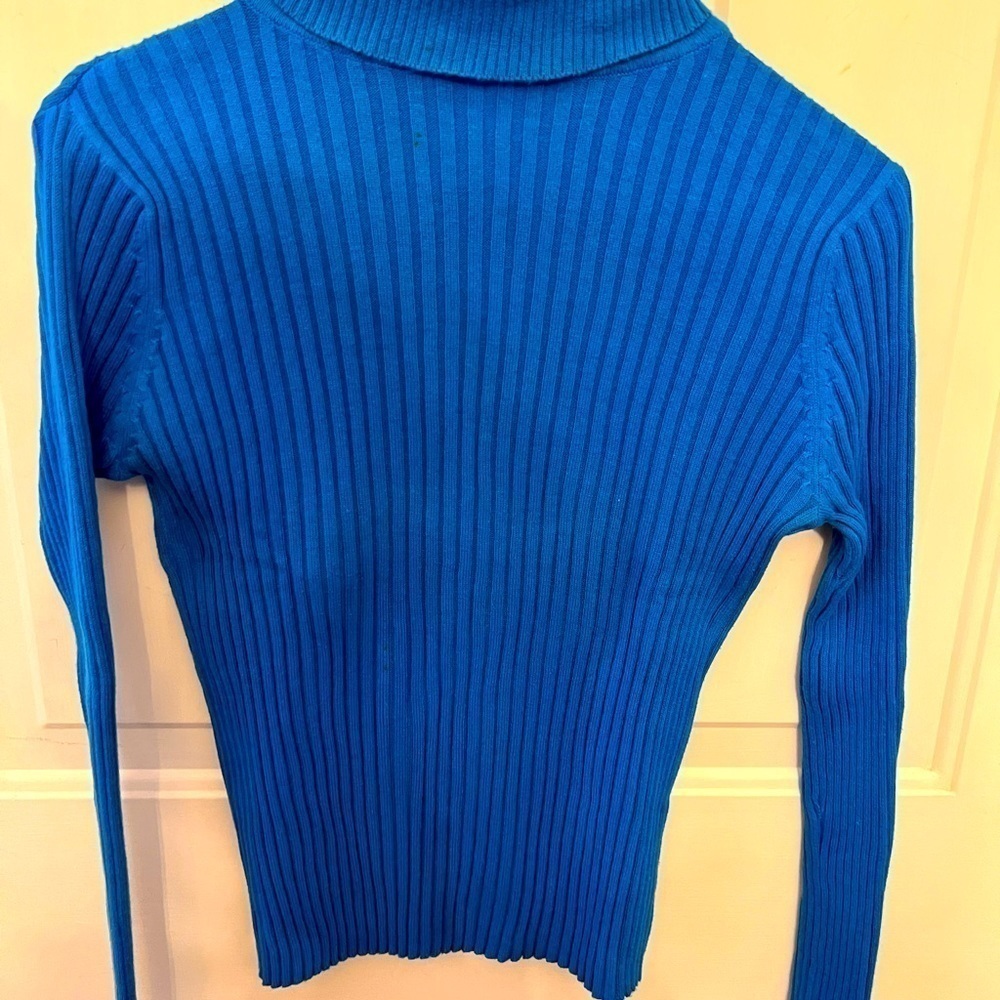 EXPRESS long sleeve ribbed turtle neck sweater